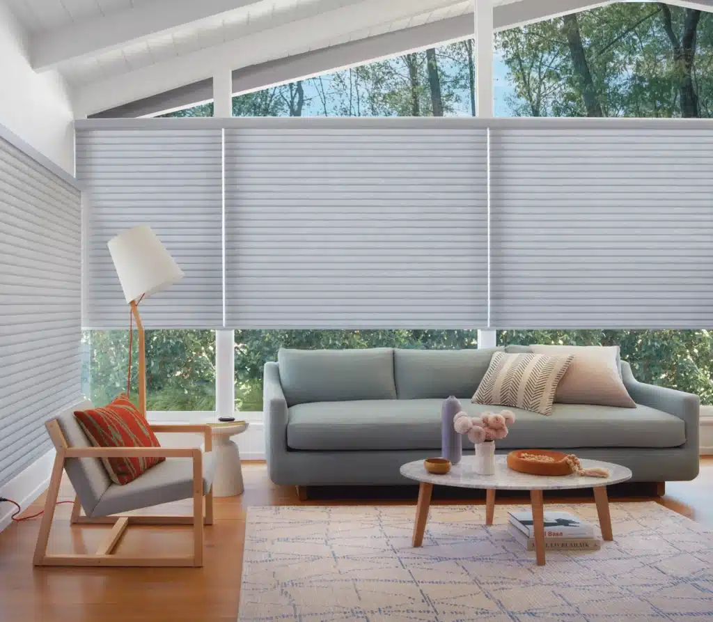 2018 SON PV Living Room